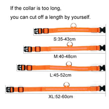 Load image into Gallery viewer, Pet Led Collar