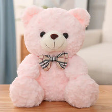 Load image into Gallery viewer, Cute Cartoon Little Teddy Bear Plush Toys