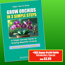 Load image into Gallery viewer, ORCHID CALENDAR 2027 Plus FREE Orchid Growing Guide