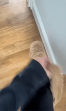 Load image into Gallery viewer, Teddy Socks