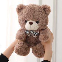 Load image into Gallery viewer, Cute Cartoon Little Teddy Bear Plush Toys