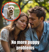 Load image into Gallery viewer, Puppy Problems- No More