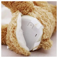 Load image into Gallery viewer, Teddy Bear Peekaboo Toy