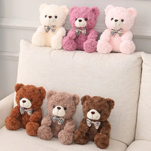 Load image into Gallery viewer, Cute Cartoon Little Teddy Bear Plush Toys