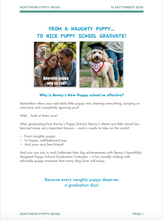 Load image into Gallery viewer, Super Cute Puppy Graduation 2027 Calendar + FREE Puppy Training eBook