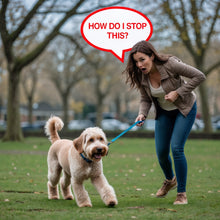 Load image into Gallery viewer, Train Your Puppy in 3 Simple Steps Happy How To Guide e-Book +2 FREE BONUSES