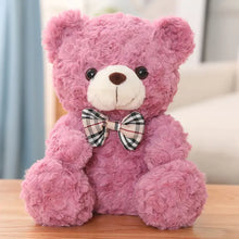Load image into Gallery viewer, Cute Cartoon Little Teddy Bear Plush Toys