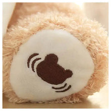 Load image into Gallery viewer, Teddy Bear Peekaboo Toy