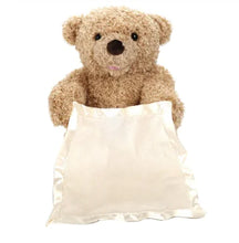Load image into Gallery viewer, Peek A Boo Plush Teddy Bear