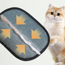 Load image into Gallery viewer, Pet Hair Super Remover Glove