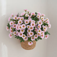 Load image into Gallery viewer, Autumn Beautiful Artificial Flowers