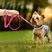 Load image into Gallery viewer, Pet Collar Leash Set