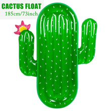 Load image into Gallery viewer, Spectacular Giant Pool Toys Watermelon, Pineapple Cactus