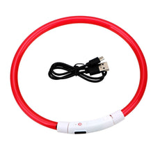 Load image into Gallery viewer, Super Glow LED Waterproof Dog Collar