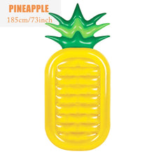 Load image into Gallery viewer, Spectacular Giant Pool Toys Watermelon, Pineapple Cactus