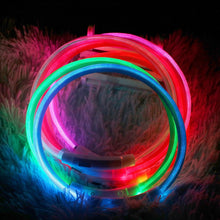 Load image into Gallery viewer, Super Glow LED Waterproof Dog Collar