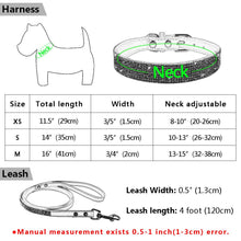 Load image into Gallery viewer, Pet Collar Leash Set