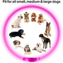 Load image into Gallery viewer, Super Glow LED Waterproof Dog Collar