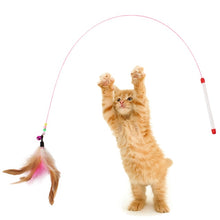 Load image into Gallery viewer, Irresistible and Fun Wand & Feather Cat Toy with super cute Mouse and bell cage cage colourful Cat Teaser - Toy Town Central