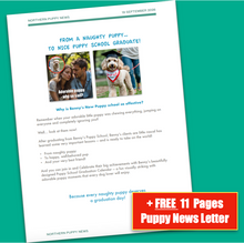 Load image into Gallery viewer, Train Your Puppy in 3 Simple Steps Happy How To Guide e-Book +2 FREE BONUSES
