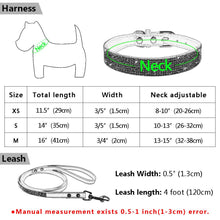 Load image into Gallery viewer, Pet Collar Leash Set
