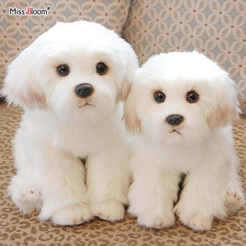 Bichon Frise Puppy Dog Cute Plush Teddy - Toy Town Central